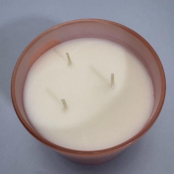 White Barn Wick Champagne Toast Candle Brand New - Picture 3 of 4